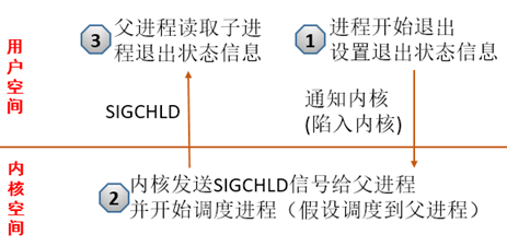 操作系统修炼秘籍（29）：Linux进程退出和wait/waitpid | 骏马金龙