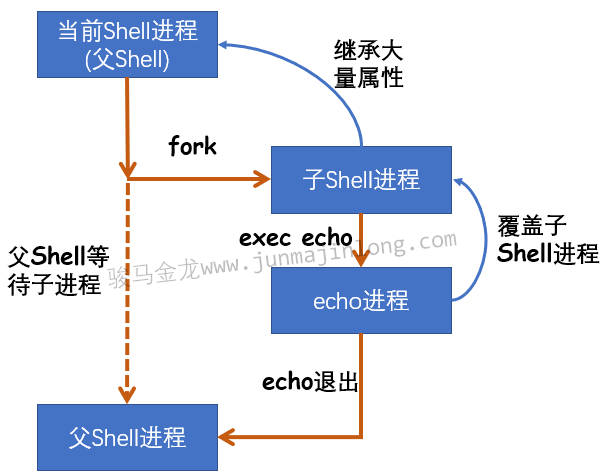 Shell脚本深入教程 Shell环境和子shell的概念 骏马金龙